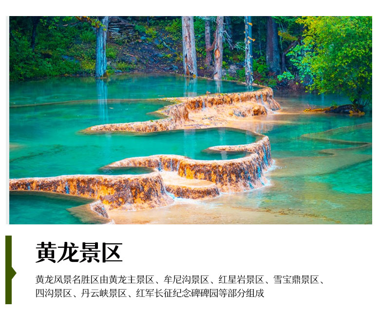 萌宠_08